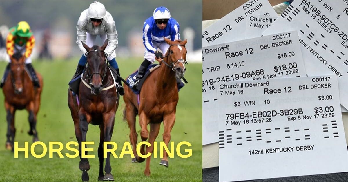 Horse Racing Betting what is Dark Horses